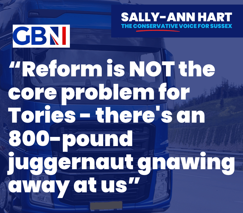 Reform is NOT the core problem for Tories – there’s an 800-pound juggernaut gnawing away at us – Sally-Ann Hart